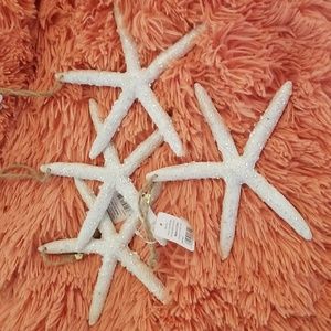 Christmas starfish ornaments (4)
